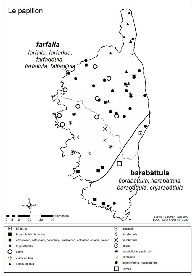 È voi, cume u chjamate u “papillon” ? È voi, cume u chjamate u “papillon” ?
