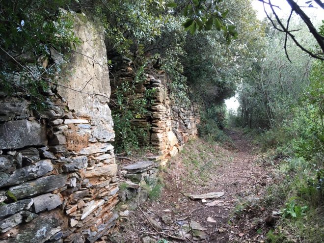 I chjassi di Bastia