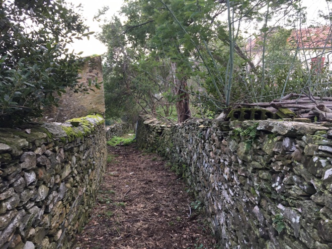 I chjassi di Bastia I chjassi di Bastia