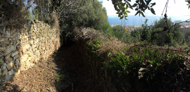 I chjassi di Bastia