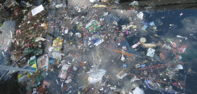 Ritrattu : Achim Gertz / objectiftransition.fr
