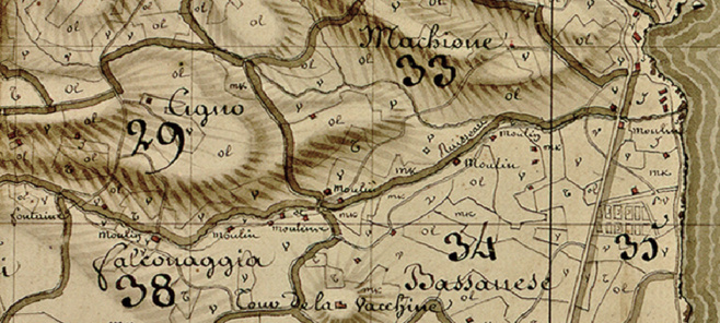 Pezzu di u Plan Terrier Pezzu di u Plan Terrier