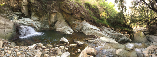 È dicenu chì Lupinu hè goffu... È dicenu chì Lupinu hè goffu...