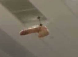 Dopu à Gilbercopter, eccu u Peniscopter... Dopu à Gilbercopter, eccu u Peniscopter...