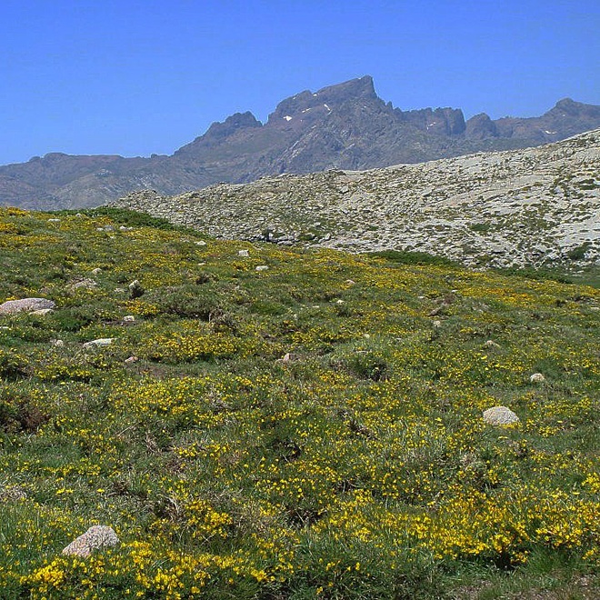 15 muntagne corse ch'ellu ci vole à fà 15 muntagne corse ch'ellu ci vole à fà