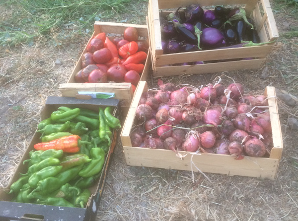 Perchè dumane seremu tutti agricultori