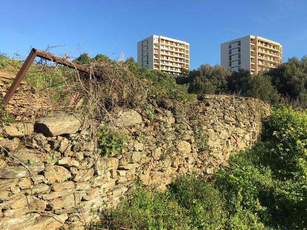 Perchè dumane seremu tutti agricultori Perchè dumane seremu tutti agricultori