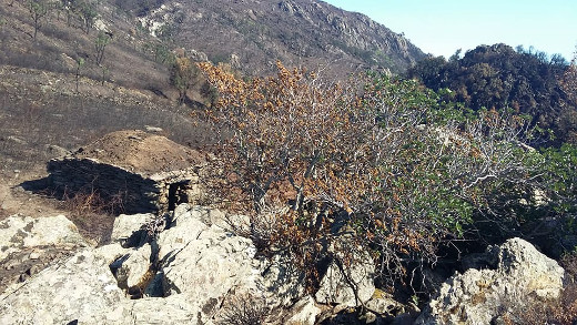 Dop'à u focu, trà Biguglia è Olmeta