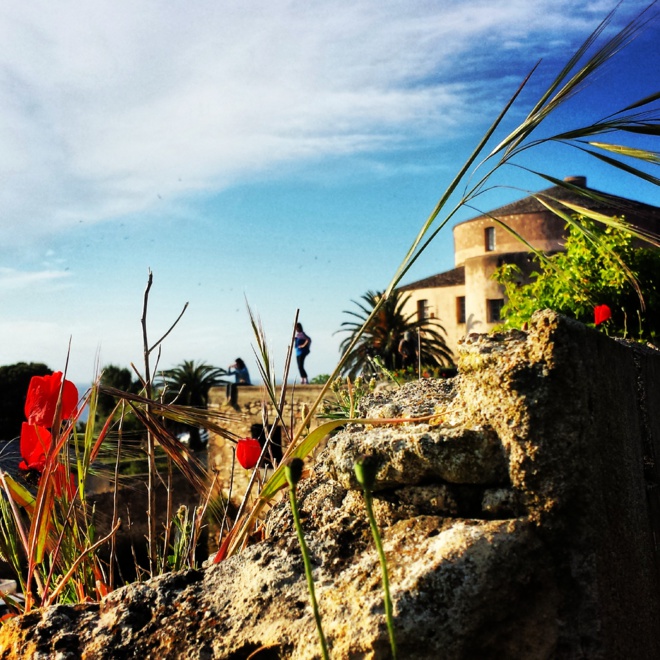 San Fiurenzu, di più chè cusì ! San Fiurenzu, di più chè cusì !