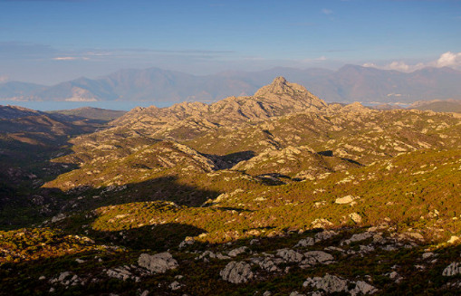 Flickr / Cristiano Pelagracci Flickr / Cristiano Pelagracci