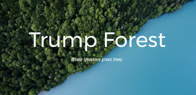 Quandu l’ignuranza face cresce a furesta Quandu l’ignuranza face cresce a furesta