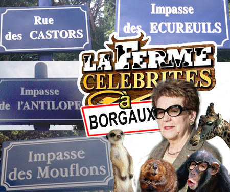 Ville de Borgaux o Zoo de Borgaux ? Ville de Borgaux o Zoo de Borgaux ?