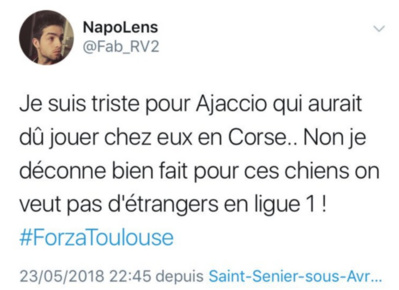 Piccula antulugia d'un razzisimu ordinariu