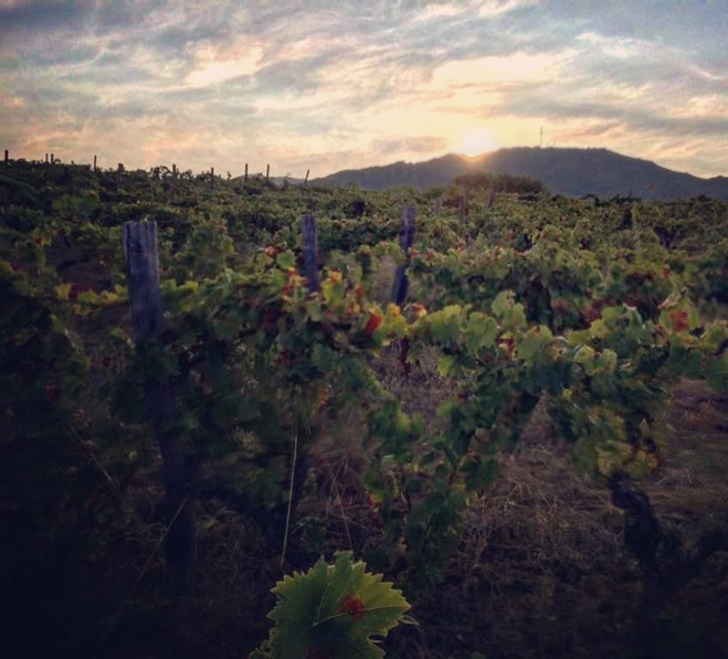 20 tesori di u Nebbiu 20 tesori di u Nebbiu