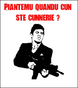 A malfatta a più fràcica di l'annu A malfatta a più fràcica di l'annu