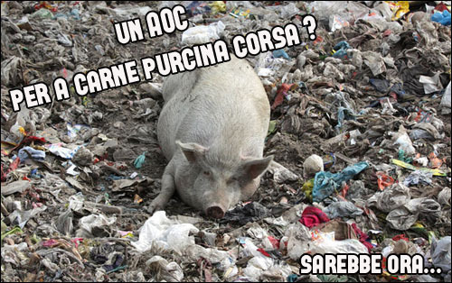90% di a sciarcutteria corsa hè chinese 90% di a sciarcutteria corsa hè chinese