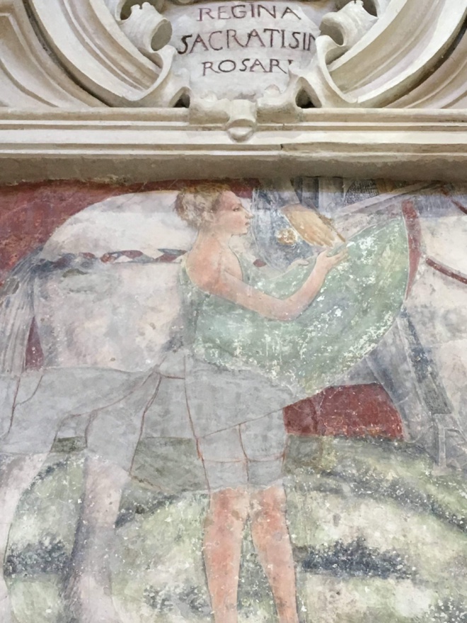 Attenti, scuperta maiò in Omessa ! Attenti, scuperta maiò in Omessa !