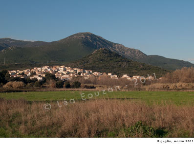 Corsicagoffa : cumu a Corsica hè diventata goffa