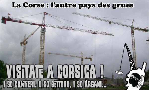 In Corsica ci hè di più "grues" ch'è stàntare