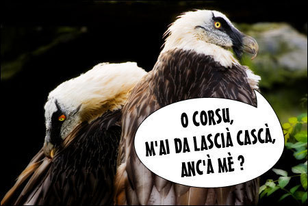 Ancu l'altore hè in depressione Ancu l'altore hè in depressione