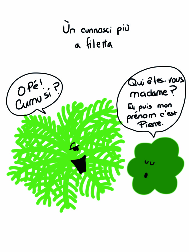 Spressione è pruverbii corsi illustrati da Lawra