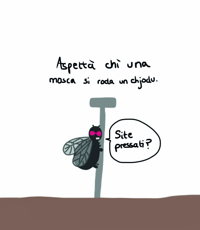 Spressione è pruverbii corsi illustrati da Lawra