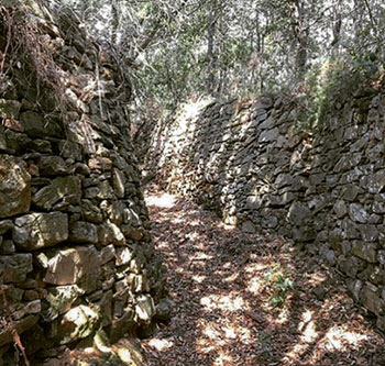 Bastiacci, chì femu di u nostru patrimoniu ? Bastiacci, chì femu di u nostru patrimoniu ?