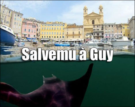 U remake corsu di "Sauvez Willy" (ritrattu Corsica Photosub) U remake corsu di "Sauvez Willy" (ritrattu Corsica Photosub)