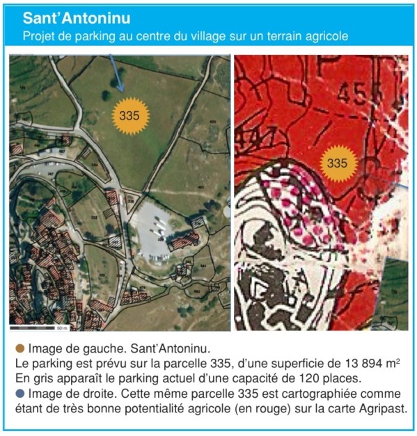 I pastori fora I pastori fora