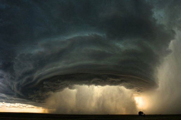 Attenti à u fake Attenti à u fake