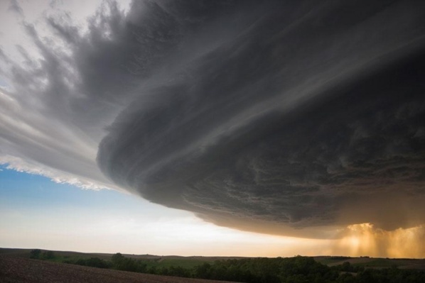 Attenti à u fake Attenti à u fake