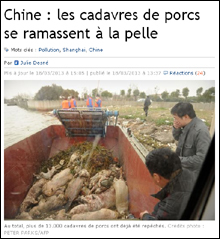 U prisuttu chè vo ùn manghjerete micca U prisuttu chè vo ùn manghjerete micca