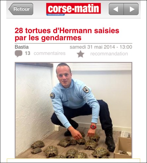 Iè, a pulizza face u so travagliu Iè, a pulizza face u so travagliu