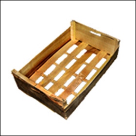 L'isula chì ùn sapia pruduce mancu una "cagette" L'isula chì ùn sapia pruduce mancu una "cagette"