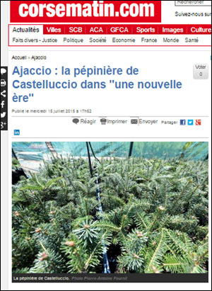 6 dumande nant'à a xylellaccia fastidiosa 6 dumande nant'à a xylellaccia fastidiosa