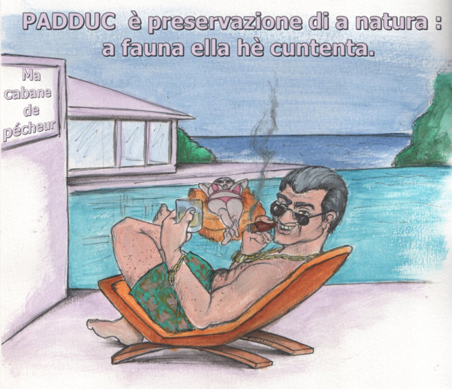 Bon allora, stu padduc ?