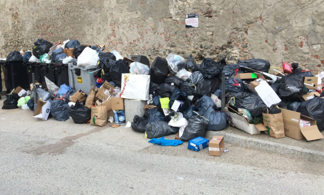 Grazia à u mullizzu, 2016 serà l'annata di u topu Grazia à u mullizzu, 2016 serà l'annata di u topu