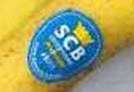 10 bone ragione d'esse felice di vede u Sporting stà in segonda divisione 10 bone ragione d'esse felice di vede u Sporting stà in segonda divisione