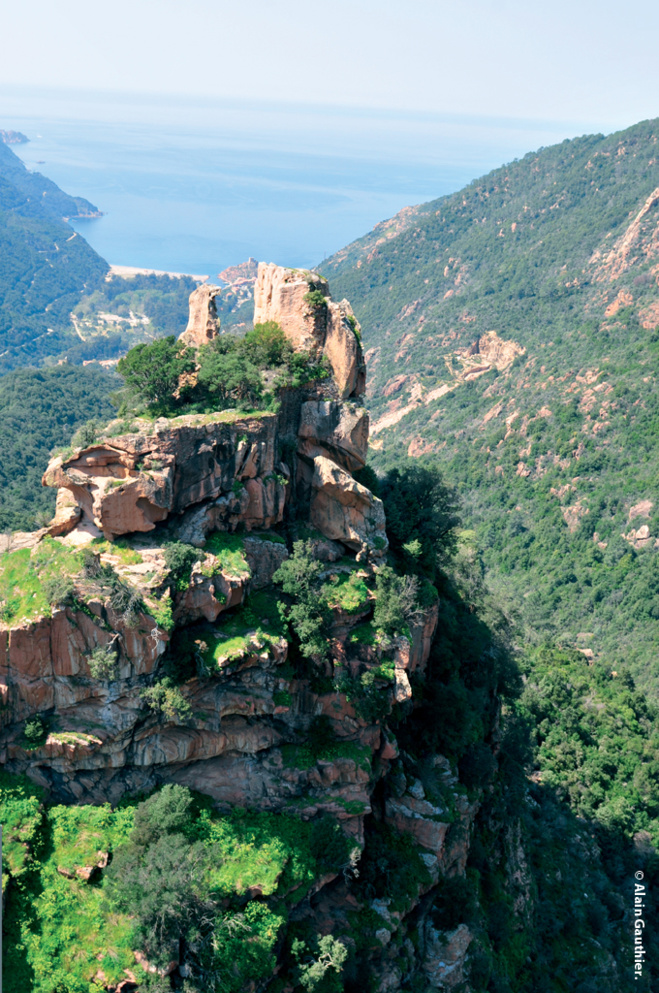 Ritrattu : Alain Gauthier Ritrattu : Alain Gauthier