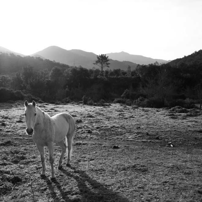 Ponte Leccia City, USA Ponte Leccia City, USA