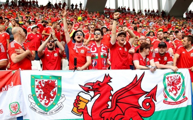 Accaniti gallesi Accaniti gallesi