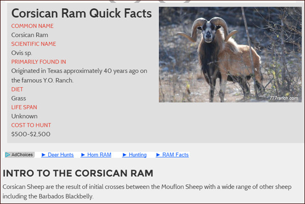 Calmemuci ! Ùn hè micca una muvra corsa Calmemuci ! Ùn hè micca una muvra corsa