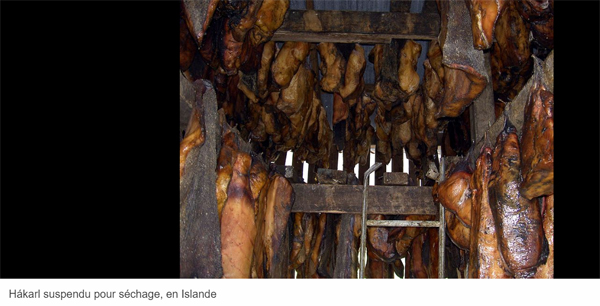 Euro : 10 belle ragiò di sustene l'Islanda Euro : 10 belle ragiò di sustene l'Islanda