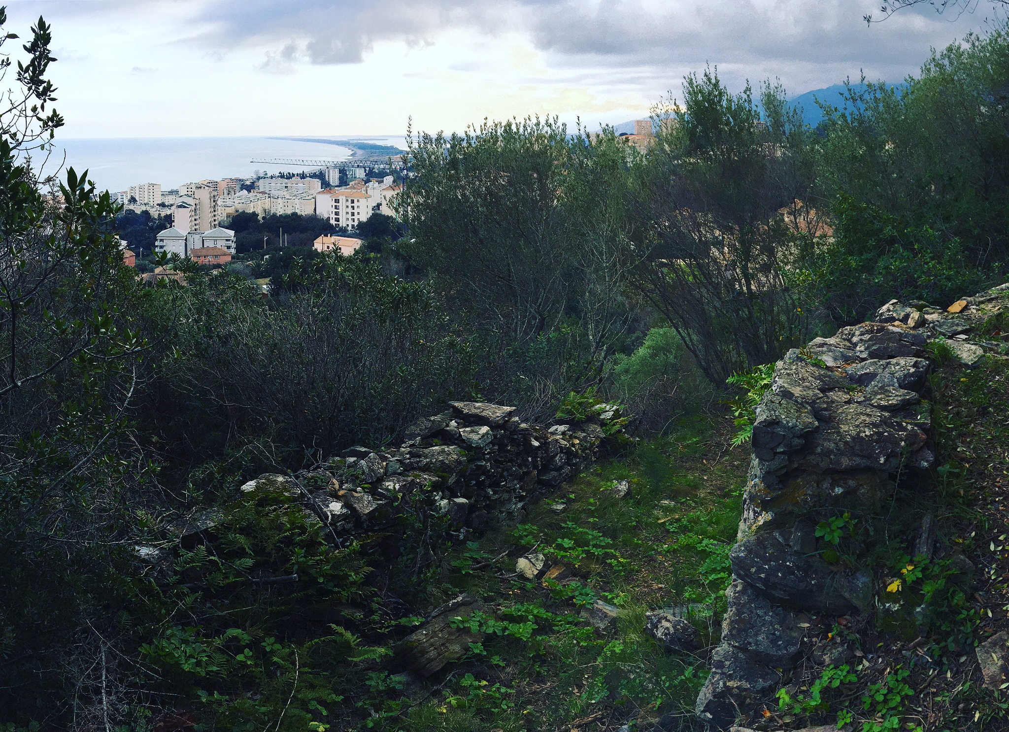 I chjassi di Bastia