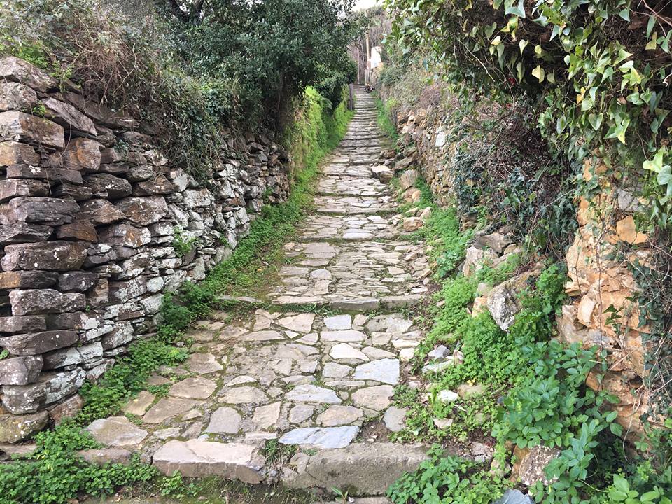I chjassi di Bastia
