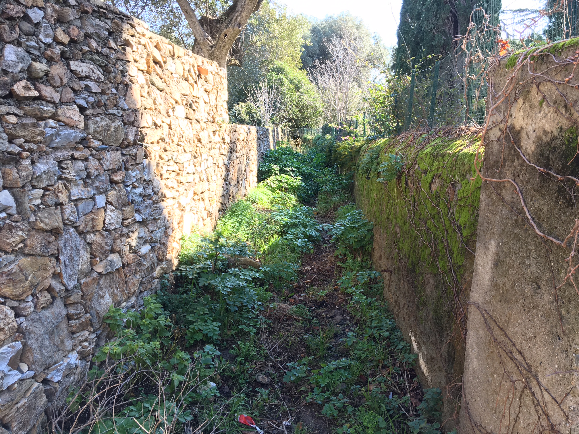 I chjassi di Bastia