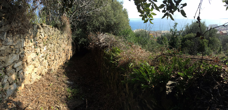 I chjassi di Bastia