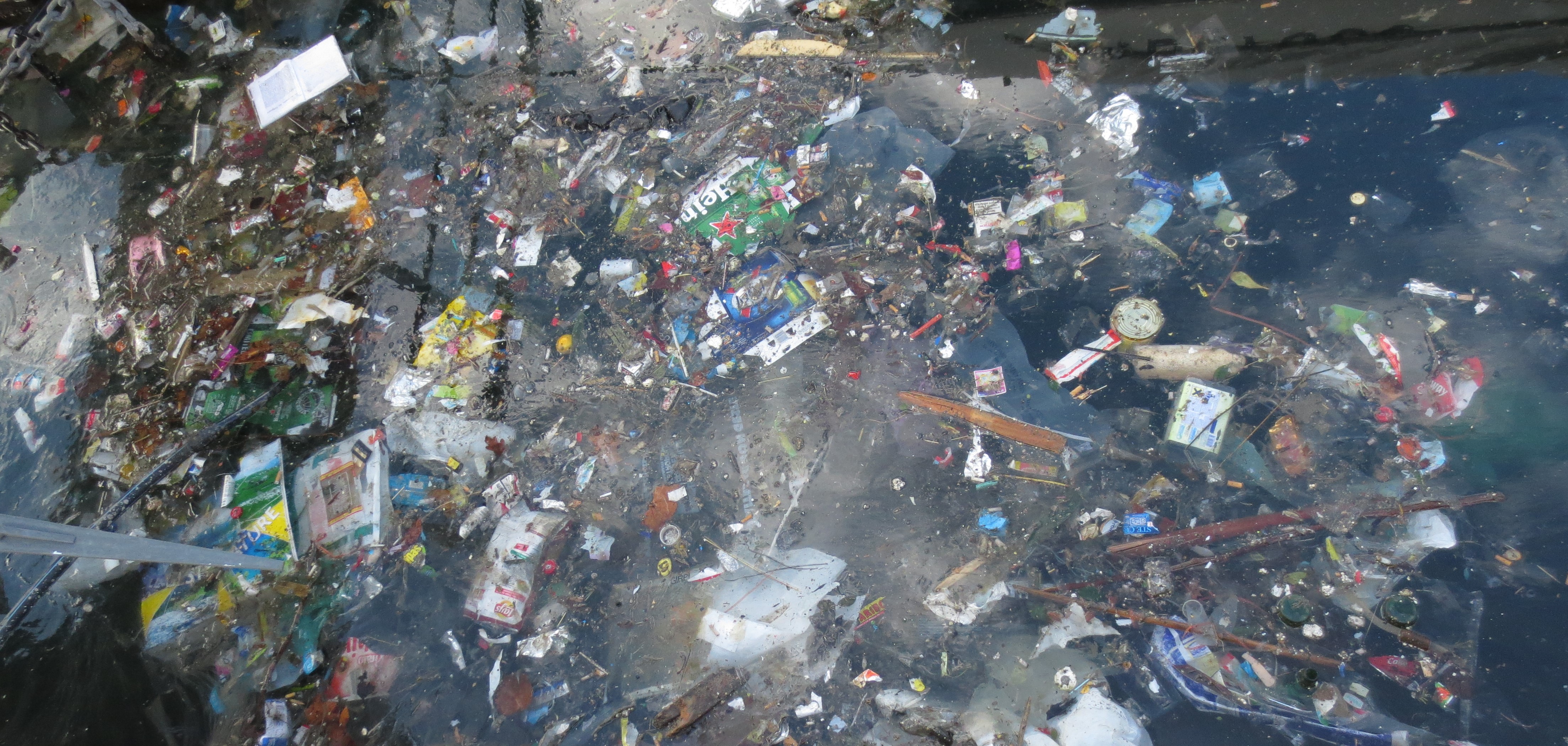 Ritrattu : Achim Gertz / objectiftransition.fr