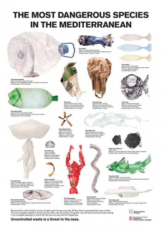 Dop'à a suppa di musu, a suppa di plasticu