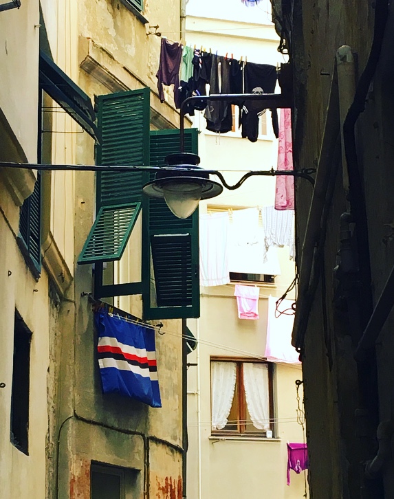 Perchè ci vole à andà in Ghjenuva